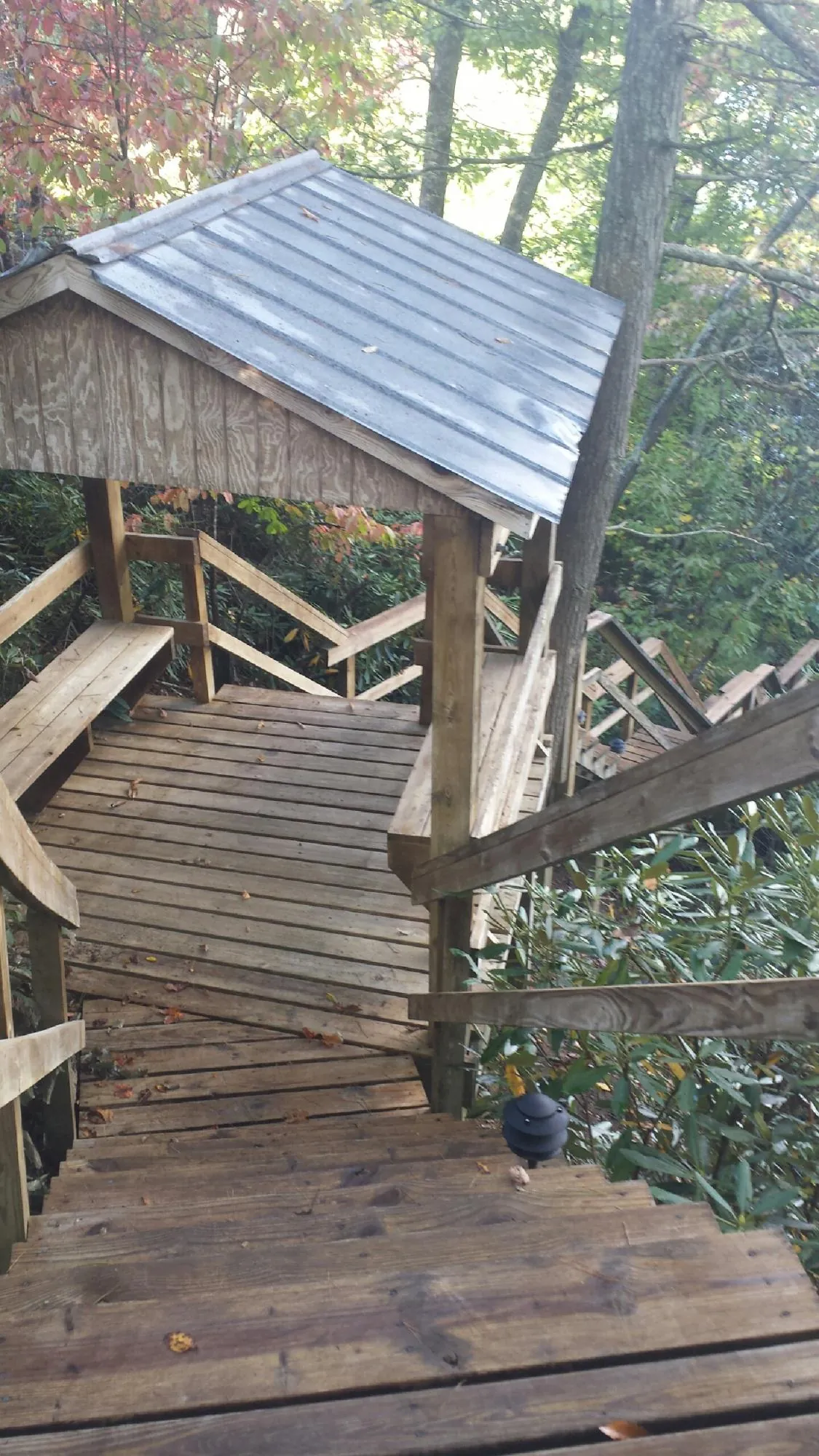 Metal roofed shelter over wooden steps on a wooded walkway — Skylight Repair & Installation work by our crew in Millry
